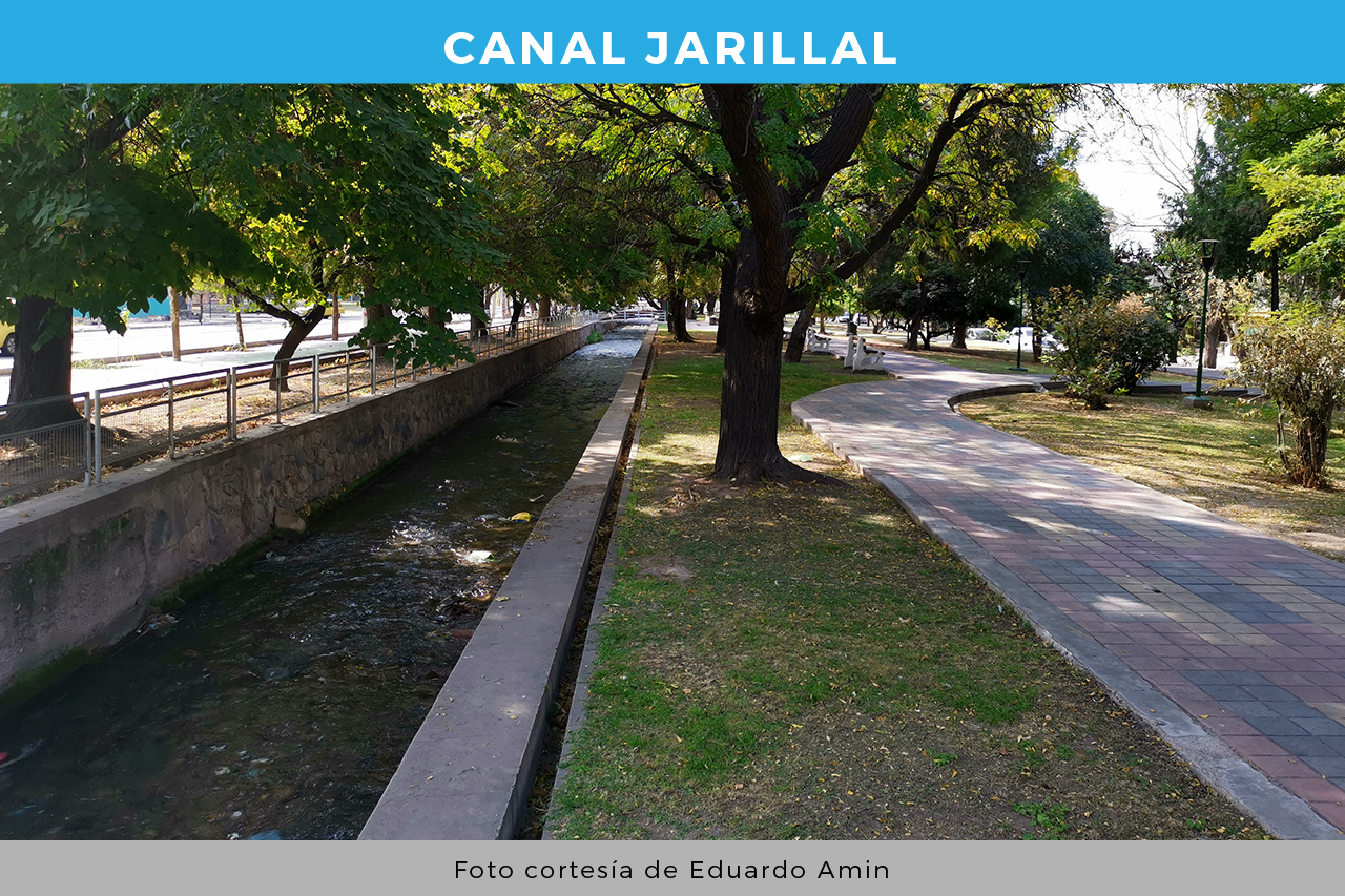 Canal Jarillal