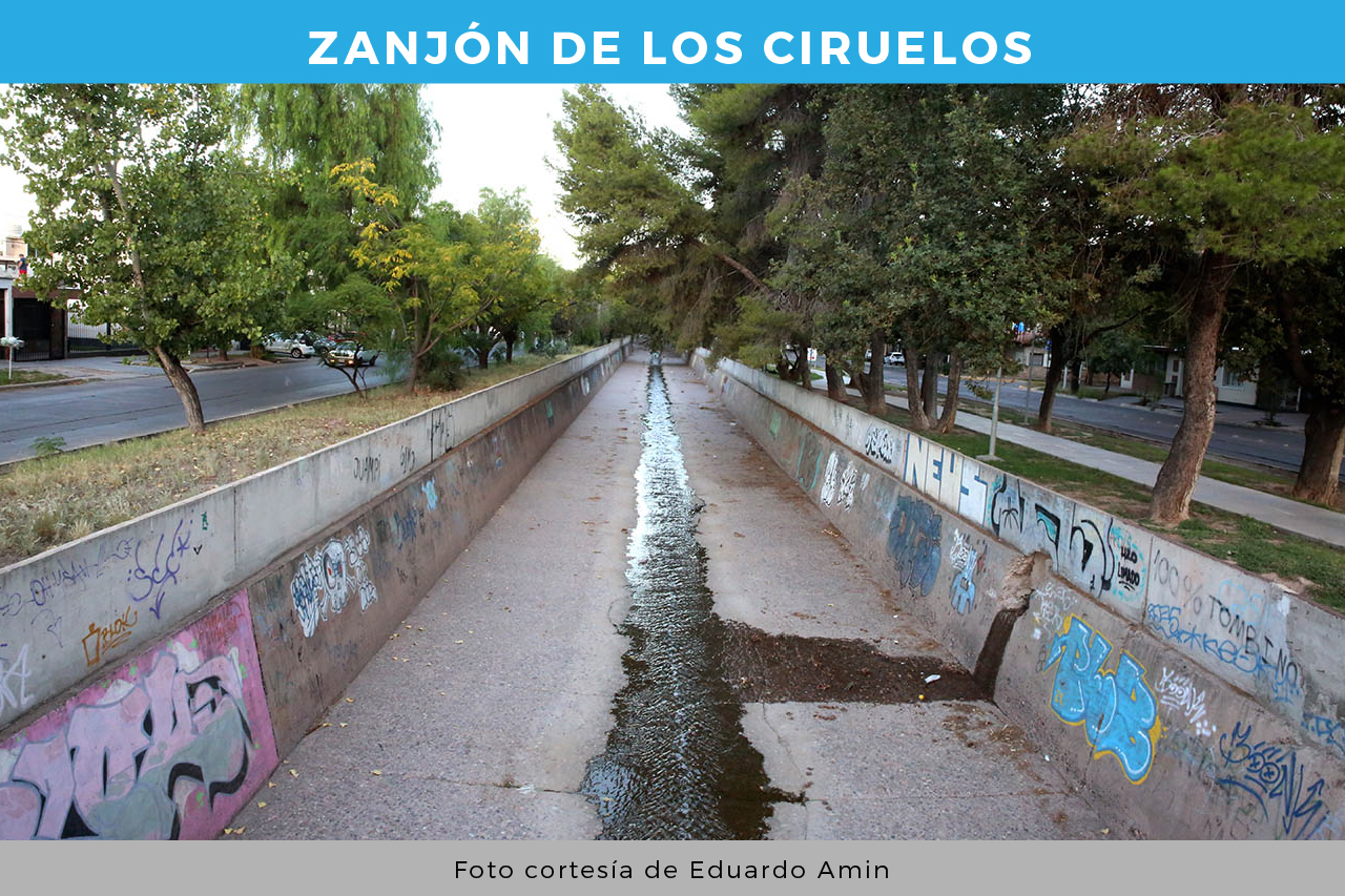 Zanjón de los ciruelos